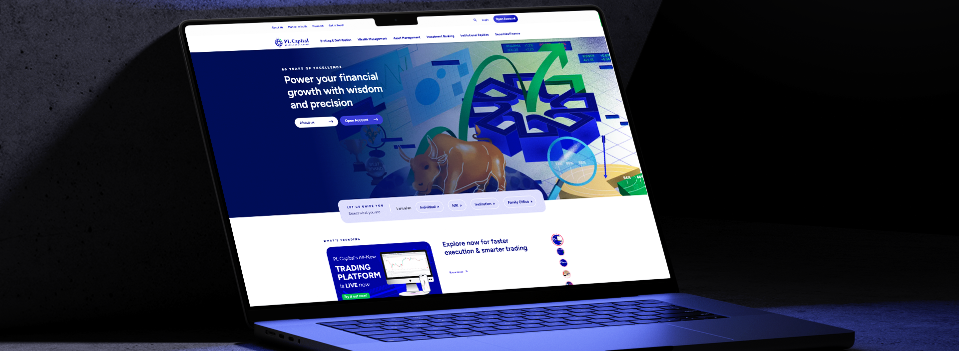 Case Study: Development of PLIndia.com